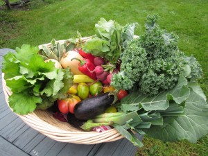 Produce from Hilltop Hanover Farm in Yorktown