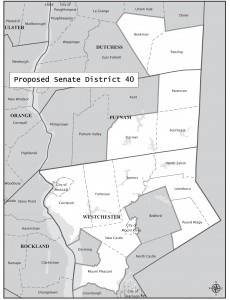 Proposed Senate District 40