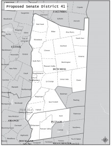 Proposed Senate District 41