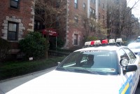 3-27 WP Vitelli murder | The Examiner News