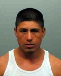 5-8 WP Vitelli rape | The Examiner News Alberto Ojeda