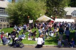 248 Strawberry Festival pic 1 | The Examiner News Strawberry Festival