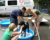 July 17 Putnam Dog Wash Pix