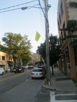 259 MK Flags pic | The Examiner News