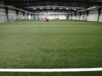 House of Sports Turf | The Examiner News