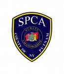 Putnam SPCA | The Examiner News Putnam SPCA
