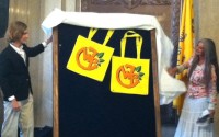 Re-usable Bags | The Examiner News