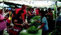 farmers market Community Markets will no longer operate the bustling Saturday morning Pleasantville Farmers Market after this year. Instead, the village is creating a nonprofit organization to run the operation.