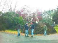 The Home Guru’s neighbors at the base of a fallen tree whose roots are taller than they.