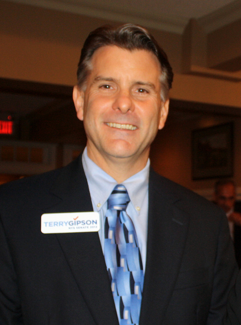 41stStateSenateTerryGipson Terry Gipson