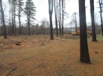 293 Dog Park pic | The Examiner News The area that is being eyed for a dog park in Armonk.
