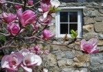 Putnam County Gardens Needed for Fundraiser; Secret Garden Tour Set for June