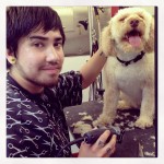 Glam Star Grooming, a Mobile Pet Service