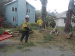 A crew on School Street in Armonk cut down trees last Friday as part of a plan that will see new utility poles. 