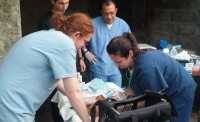 SPCA | The Examiner News SPCA staff examined each cat and made sure they had the required vaccinations.