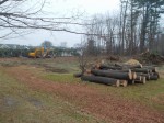 The area where trees were removed from Wampus Brook Park South, which caused a stir in Armonk last week.