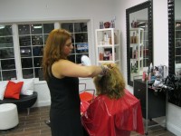Gina Martucci, a partner who co-owns Salon V in Mohegan Lake, styles the hair of a customer. 