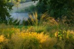 Register Now for Designing Environmentally Sound Landscapes Program
