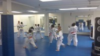 BOW-Taekwondo-2 | The Examiner News Students practicing at Exceptional Taekwondo Center.