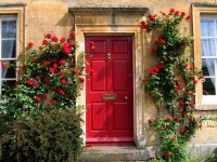 According to many traditions and feng shui consultants, front doors are best painted red.