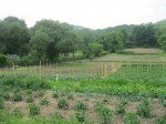 Business Profile: Old Bet Farm Market, Somers