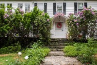 Home Guru-Brewster-right | The Examiner News Home Guru-Brewster-right