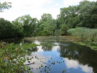 Beaver Swamp Brook in Harrison. 