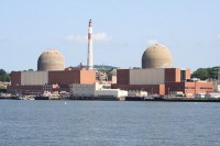 Indian Point Plants