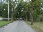 The stretch of Taylor Road in Chappaqua where Norway maples pose a public safety hazard, according to Con Edison, and will soon be removed.