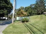 The vacant office park on Washington Avenue in Pleasantville, which has since been rezoned, where developer Toll Brothers is aiming to build 68 townhouses.