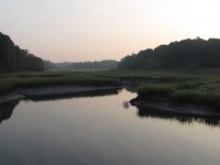 The Otter Creek Preserve