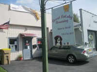 A “grand opening” is scheduled for this weekend at the Great Gatsby Grooming Salon & Retail Shoppe in Mohegan Lake. The pet facility opened in March.  Photo credit: Neal Rentz 