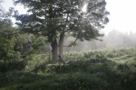 422 Focus on Nature pic | The Examiner News Inhabit: A Permaculture Perspective,” a documentary directed by Costa Boutsikaris, is scheduled for Oct. 14 as part of the annual Focus on Nature series at the Jacob Burns Film Center.