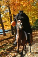 The Headless Horseman.  Historic Hudson Valley photo 
