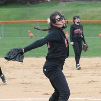 Tigers-4 | The Examiner News