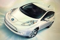Leaf | The Examiner News