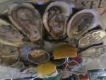 One Dozen Oysters, Please