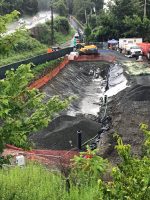 Remediation | The Examiner News