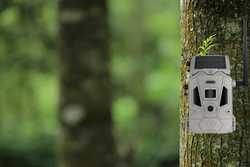 solar trail cameras