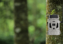 solar trail cameras