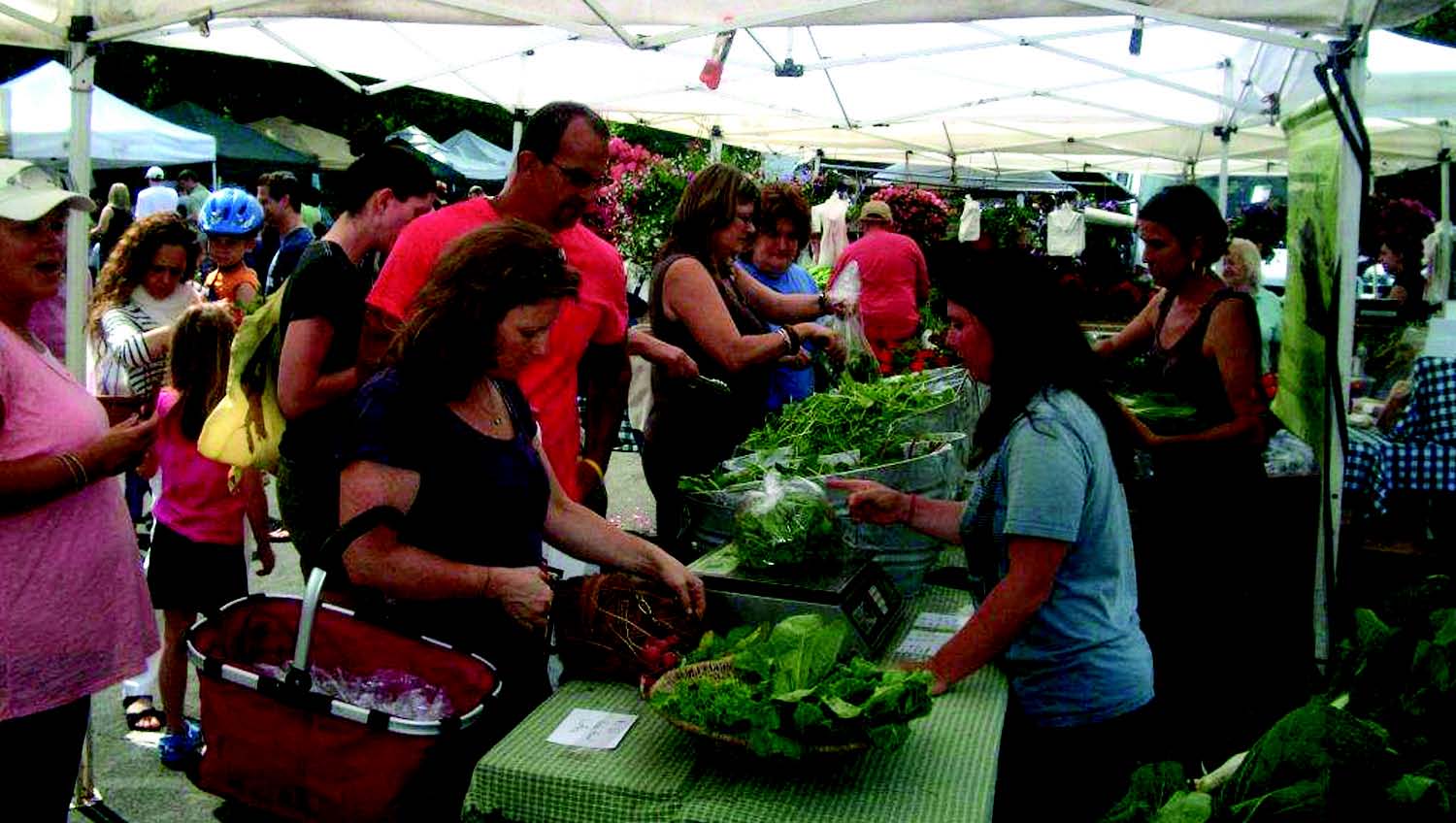Community Markets will no longer operate the bustling Saturday morning Pleasantville Farmers Market after this year. Instead, the village is creating a nonprofit organization to run the operation.