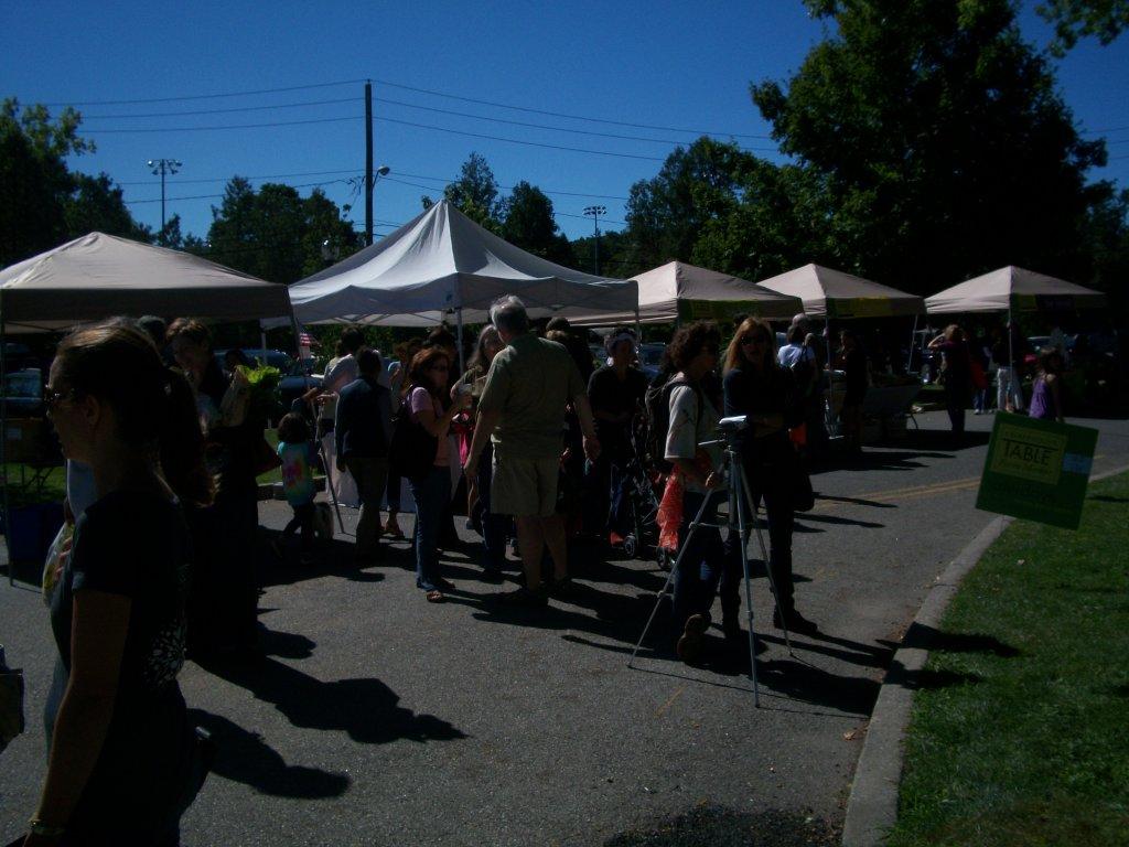 Action-Packed Weekend in Store for Downtown Chappaqua | The Examiner News