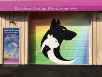 BOW pic 1 | The Examiner News