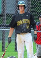 Hornets | The Examiner News