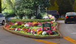 555 Adopt an Area pic | The Examiner News
