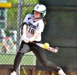Softball Notebook
