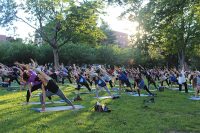 Yoga | The Examiner News
