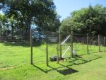 568 MK Gardens pic 1 | The Examiner News