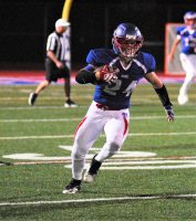 Grid-1 | The Examiner News