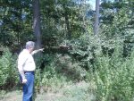 With PV Tower Vote, Homeland Sends Warning Shot